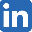 linkedin mini icon
