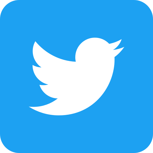 twitter mini icon